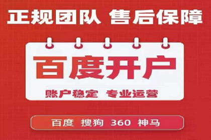 某品牌通过SEM优化实现品牌增长的故事